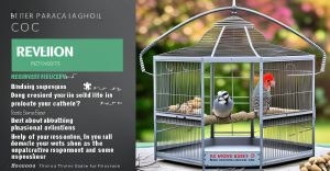 Quick Picks: Best Bird Cages for Parakeets & Small to…