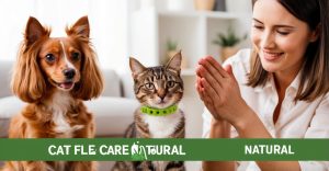 Cat Flea Collar Natural