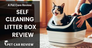 Quick Picks: Best Self-Cleaning Litter Boxes for Cats