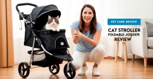Cat Stroller Foldable Jogger Review
