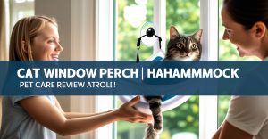 Quick Picks: Best Cat Window Perch Hammocks