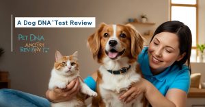 Dog Dna Test Ancestry Breed Review