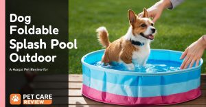 Dog Foldable Splash Pool Outdoor