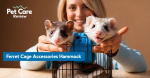 Ferret Cage Accessories Hammock