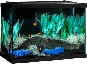 Best Aquarium Starter Kits for Beginners 2024