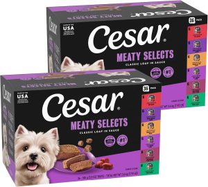 Best Dog Food Recommended by Vets in 2024