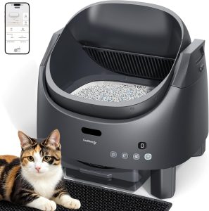 How to Eliminate Cat Litter Box Smell (2026)