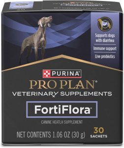 Best Dog Food for Diarrhea: Gentle Foods That Help