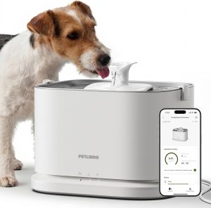 Best Dog Water Fountain: Keep Your Dog Hydrated in 2025