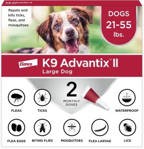 Safe Flea Medicine for Kittens: Age-by-Age Guide 2024
