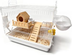 Hamster Cage Setup Guide: Best Cages & Essentials