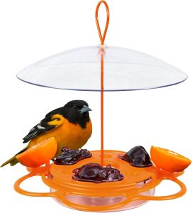 Best Oriole Feeders: Attract Baltimore Orioles to Your Yard