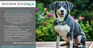 Quick Picks: Best Flea and Tick Prevention Collars