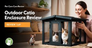 Outdoor Catio Cat Enclosure Review