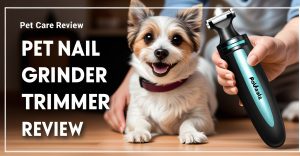 Quick Picks: Best Pet Nail Grinders and Trimmers