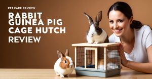 Rabbit Guinea Pig Cage Hutch Review