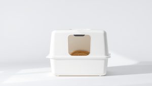 Best Cat Litter Box For Odor 2026