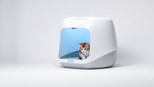 Best Cat Litter Box For Smell 2026