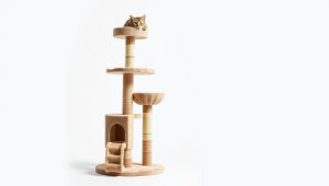 Best Cat Tree For Large 2026