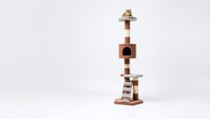 Best Cat Tree Tower For Large Cats 2026