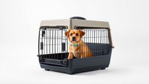 Best Crate For Dog Travel 2026