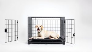 Best Crate For Extra Large Dog 2026