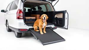 Best Dog Car Ramp For Side Door 2026