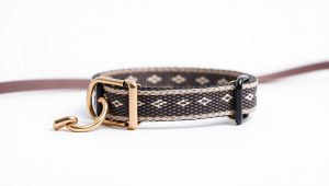 Best Dog Collar For Leash Training 2026
