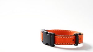 Best Dog Collar For Training 2026