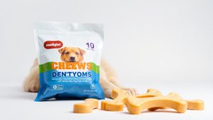 Best Dog Dental Chews For Small Dogs 2026