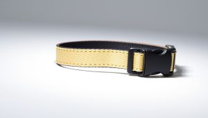 Best Dog Training Collar For Barking 2026