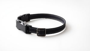 Best Dog Training Collar Trainer 2026