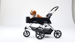 Best Double Pet Stroller For Dogs 2026