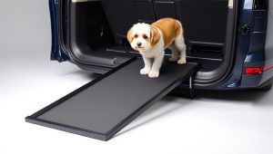 Best Foldable Dog Ramp For Car 2026