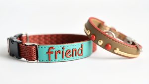 Best Friend Dog Collar and Bracelet (2026)