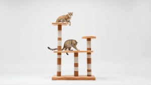 Best Large Cat Tree For Big Cats 2026