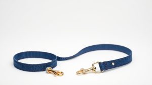 Best Leash for Dogs (2026)