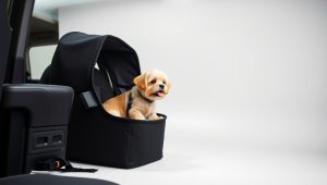 Best Pet Car Seat For Small Dog 2026