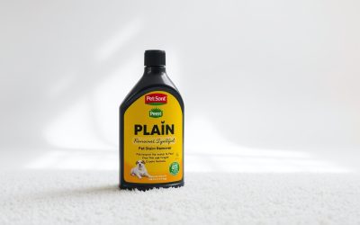 Best Pet Stain And Odor Remover For Carpet 2026