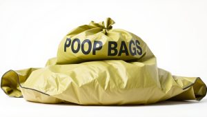 Best Poop Bags For Dog 2026