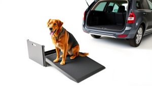Best Ramp For Dog To Get Into Car 2026