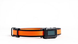 Best Rated Dog Training Shock Collar 2026