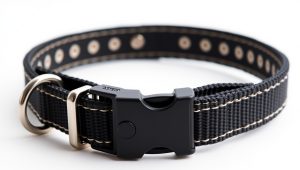 Best Top Rated Dog Training Collar 2026
