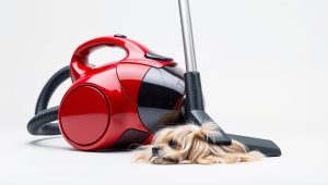 Best Vacuum Sweeper For Pet Hair 2026