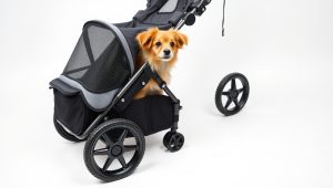 Bestpet Pet Stroller 2026