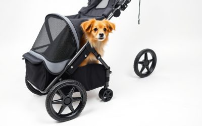 Bestpet Pet Stroller 2026