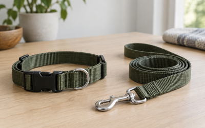 How to Choose the Right Collar Size for a Growing Puppy