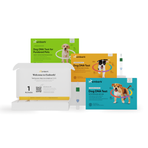 Embark vs Wisdom Panel: Dog DNA Test Compared (2026 Accuracy & Health)