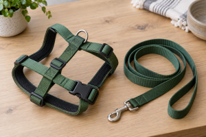 Best Harnesses for French Bulldogs in 2026: Compared and Ranked