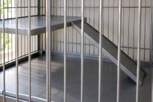 Best Multi Level Ferret and Chinchilla Cages in 2026: Compared and Ranked